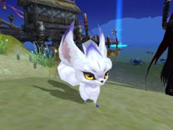 ���������꡼ No.005�Υ���ͥ������ / ��LEGEND OF CHUSEN 2��4����Ϣ³��LT��10�����̤Υ����뤬����