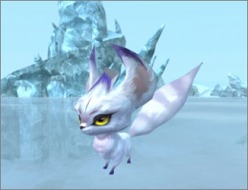 ���������꡼ No.006�Υ���ͥ������ / ��CHUSEN 2��G-MONEY�ȤΥ���ܥ����ڡ���»ܡ�������Ͽ�ǥڥåȤ����Ƥ褦