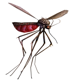 画像ギャラリー No.007のサムネイル画像 / 「CSO」，新女性キャラクター登場。“蚊”を倒すと褒賞アイテム