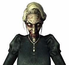 ꡼ No.013Υͥ / ֥󥿡ȥ饤饤סӥ⡼Ѥοޥåס֥쥯סְ©פҡ֥ȡפȿӥ饹֥Х󥷡פ