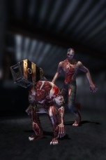 ꡼ No.018Υͥ / ֥󥿡ȥ饤饤סޥåס֥֥åɥåפ䡤SKULL꡼פο郎о줹륢åץǡȤ»