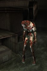 ꡼ No.019Υͥ / ֥󥿡ȥ饤饤סޥåס֥֥åɥåפ䡤SKULL꡼פο郎о줹륢åץǡȤ»