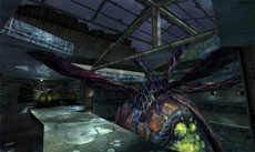 ���������꡼ No.016�Υ���ͥ������ / �֥����󥿡����ȥ饤������饤��פ��緿���åץǡ�����4�ơ�Z-VIRUS�����󥰥�פ���������������ӥ��Х��Х�⡼�ɤ���˥塼���뤵�졤�����ʥޥåפ��о�