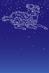 画像集#011のサムネイル/エムゲームポータルの「MyA」,学生服や野球,悪魔などの衣装登場