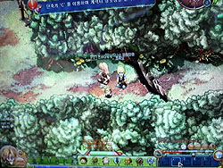 ꡼ No.004Υͥ / G2009ϤȤˤڡZwei!! Onlineפץ쥤֥ŸȯNeonSoftΥǥ쥯ˤʹƤߤ