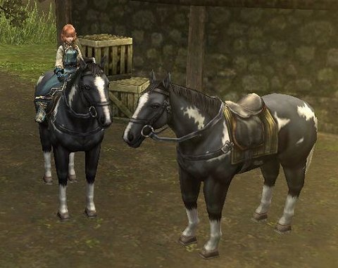 ���������꡼ No.001�Υ���ͥ������ / �֥ѥ�ɥ饵�����ץ��ե�����������äƥ롼�󥸥�����餪��