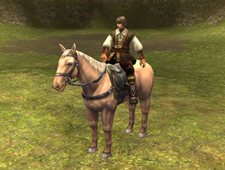 ꡼ No.007Υͥ / ֥ѥɥ饵׺ͽΥƥĹܤˡߤˤϹо줹뤫⡩