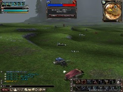 ꡼ No.013Υͥ / ˸Ʋ褹٤ϡ ֥ѥɥ饵׿ƥġڿ׸ƥȤΥݡȤǺ