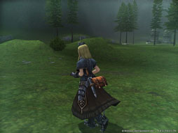 画像ギャラリー No.001のサムネイル画像 / 「パンドラサーガ」対人戦エリア「未開区域ミュルディア」が本日アップデート