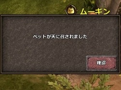 ꡼ No.009 | PRǷޤ졪MMOϥ塼ƥ󥰡RPGValkyrie SkyפϤ褦2