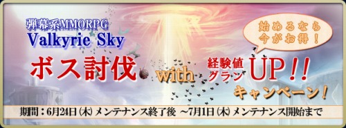 ꡼ No.001Υͥ / ݤۤɤǮValkyrie SkyץܥƤȲǷи͡UP