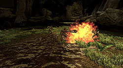 ꡼ No.008Υͥ / TGS 2008095ϳѥӥꥪݡȡFuzzyeyesEdge of Twilight³