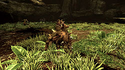 ꡼ No.010Υͥ / TGS 2008095ϳѥӥꥪݡȡFuzzyeyesEdge of Twilight³