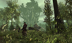 ꡼ No.002Υͥ / GamescomGothic꡼Υ󥷥塼Ǥо졣ͷӤ䤹RPGؤȿʲǿArcaniA Gothic 4פҲ