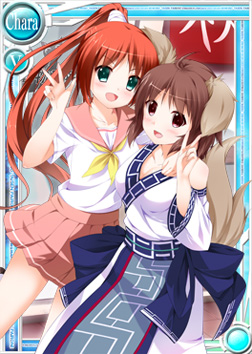 ���������꡼ No.002�Υ���ͥ������ / �֤Ѥ�����ץ��ꥭ���ο���˥åȥ����ɡ֤��Ȥߤ��ߡפ��о�