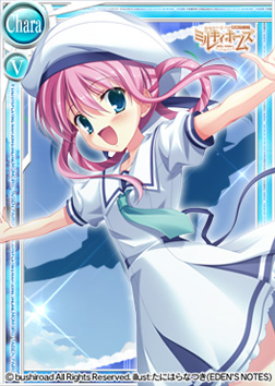 ���������꡼ No.005�Υ���ͥ������ / ����������Ѥ�����פˡ֥ߥ륭���ۡ��ॺ�פ�Another�����ɤ�SP�����ɤ��ɲ�