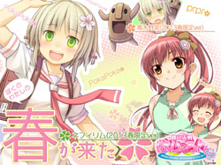 ꡼ No.002Υͥ / Ѥڤȥͥեνոꥫɤо