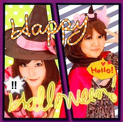 ���������꡼ No.007�Υ���ͥ������ / �����ȡ�������Ź�Υץ��ȥ����뵡�ǥϥ�������������ƥ��ȳ���