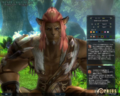 画像集#010のサムネイル/惑星「プリウス」,そして謎の少女「アニマ」とは? 「PRIUS ONLINE」クローズドβテスト先行体験レポート