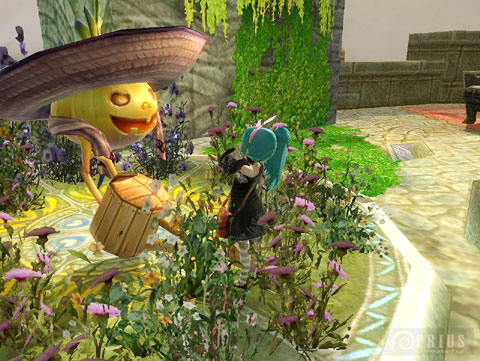 ꡼ No.011 | PRIUS ONLINEפ˥ܥΤϥ󥤥٥ȳ 