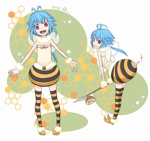 ꡼ No.005Υͥ / PRIUS ONLINEסХΩļǼƥब2о