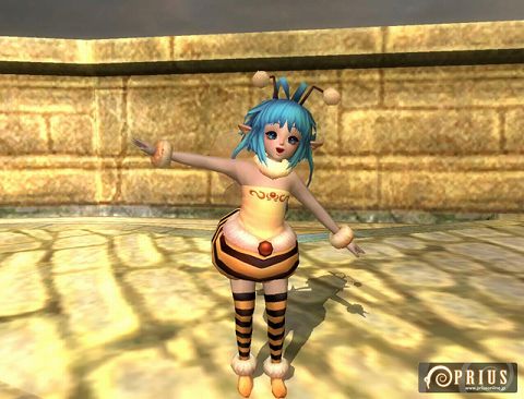 ꡼ No.006Υͥ / PRIUS ONLINEסХΩļǼƥब2о