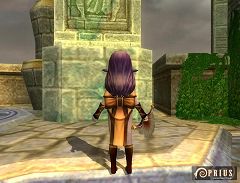 ꡼ No.010Υͥ / PRIUS ONLINEסХΩļǼƥब2о