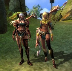 ꡼ No.016Υͥ / PRIUS ONLINE֤򽸤ƥʤɤΥƥ餪