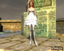 ꡼ No.018Υͥ / PRIUS ONLINE֤򽸤ƥʤɤΥƥ餪