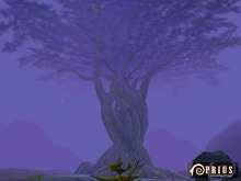 ꡼ No.004Υͥ / PRIUS ONLINEס٥륭åפ80ˡեɡʮФ̸⸶סַθо졣줾ξ줿¤Ȥ