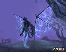 ꡼ No.005Υͥ / PRIUS ONLINEס٥륭åפ80ˡեɡʮФ̸⸶סַθо졣줾ξ줿¤Ȥ