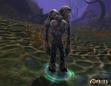 ꡼ No.006Υͥ / PRIUS ONLINEס٥륭åפ80ˡեɡʮФ̸⸶סַθо졣줾ξ줿¤Ȥ