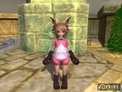 ꡼ No.018Υͥ / PRIUS ONLINEסݵʷϵɺ󥸥ϲƹפ