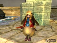 ꡼ No.019Υͥ / PRIUS ONLINEסݵʷϵɺ󥸥ϲƹפ