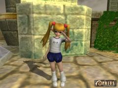 ꡼ No.020Υͥ / PRIUS ONLINEסݵʷϵɺ󥸥ϲƹפ