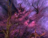 ꡼ No.001Υͥ / PRIUS ONLINEåץǡȤ»ܡԶëפʤɿꥢɲ