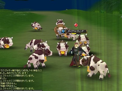 ꡼ No.021Υͥ / PRۤʥ饤פ ֥פɤˡˤϡɤʤΤǴ궯⤦ͤƤߤ