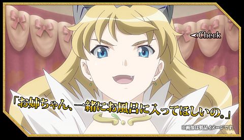 ꡼ No.005 | ֥ס˥֥󥺥֥쥤ɡפȤΥå2Ƥǥо