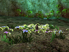 ������#012�Υ���ͥ���/SF��MMORPG�֥ϥ륫�פ�6��26�����뺧���ڥåȥ����ƥब����������絬�ϥ��åץǡ��ȼ»�