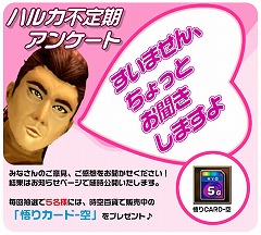 画像ギャラリー No.005のサムネイル画像 / 「ハルカ」，レベル0でも楽しめる○×クイズイベント