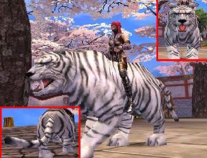 ������#002�Υ���ͥ���/�֥����ƥ��å����֥쥤��פǡ��ȥ�����襢���ƥब�������ʤ�