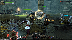 ꡼ No.021 | ֥ɥ饴ͥȡCBTͷǤߤƿʬääȤϤ