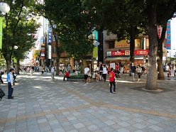 ���������꡼ No.005�Υ���ͥ������ / �֥ɥ饴��ͥ��ȡ׽��ո������ޤʤɤ�8��15���ˤ����������