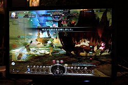 ꡼ No.005Υͥ / ֥֥ɥ饴ͥ åץǡȡפμ1221˷ꡣʡҤǳŤ줿֥ɥ饴ͥȡץե饤󥤥٥ȥݡ 