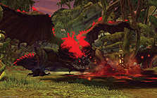 ꡼ No.004Υͥ / 800ߤ֥ɥ饴ͥȡס˳ʤ󽷤Ԥ2DN-1 ץפ1221