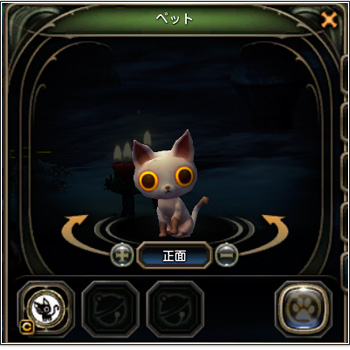 ꡼ No.008Υͥ / ֥ɥ饴ͥȡס800ߤᤰ륿ॢå٥ȡDN-1 ץפȡꥹޥ٥ȤⳫ 