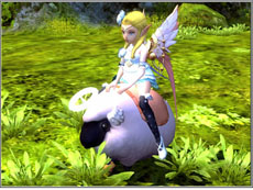 ꡼ No.011Υͥ / ֥ɥ饴ͥȡסåץǡȡָʼإƥͥ إ⡼ɡ١פ»ܡإ⡼ɤ򥯥ꥢŤʥƥγܻؤ