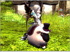 ꡼ No.012Υͥ / ֥ɥ饴ͥȡסåץǡȡָʼإƥͥ إ⡼ɡ١פ»ܡإ⡼ɤ򥯥ꥢŤʥƥγܻؤ