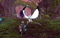 画像ギャラリー No.003のサムネイル画像 / この夏,「ドラゴンネスト」が大きく変わる。7月17日のアップデート内容と今後の展開について運営チームを直撃