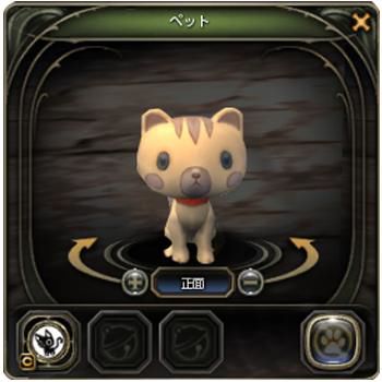 ꡼ No.007Υͥ / ֥ɥ饴ͥȡס٥륭åפ60ޤǳͥȡ֥աͥȡס֥ץեåKͥȡפˡͥڥåȡ֥˥㡼פо